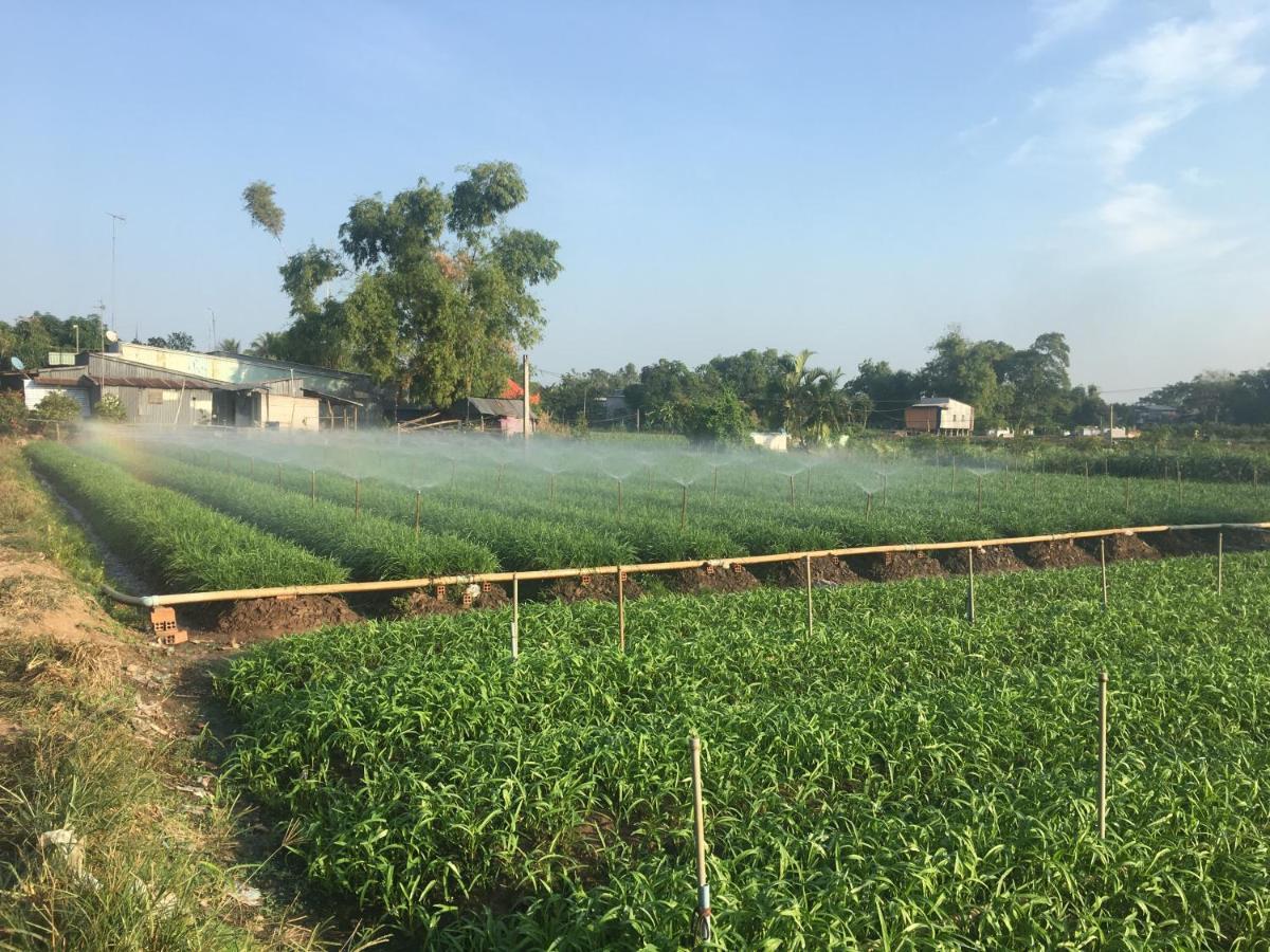 Chau Doc Homestay מראה חיצוני תמונה