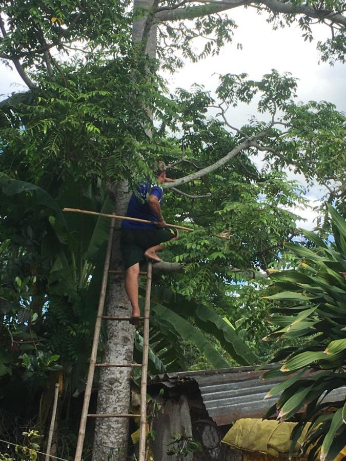 Chau Doc Homestay מראה חיצוני תמונה